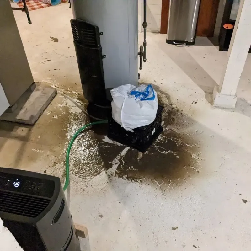 Sewage Backup Cleanup Service in Knox City, TX
